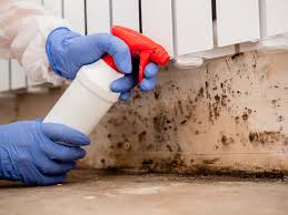 Trusted Kelseyville, CA Mold Inspection Experts